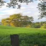 Les Hirondelle For 8 Persons Bièvre