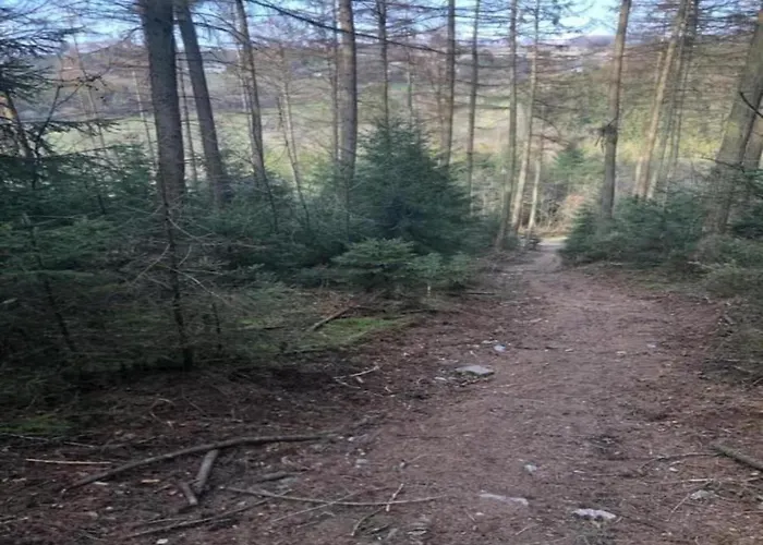 Hébergement de vacances Les Hirondelle For 8 Persons